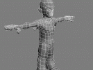 triman-highpoly-wire