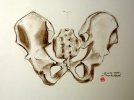 gv-pelvic_mass_1